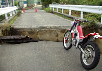 �V�����z�E���ꂩ���N